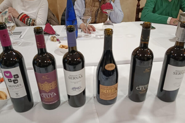 Vinos de Alentejo en Portugal