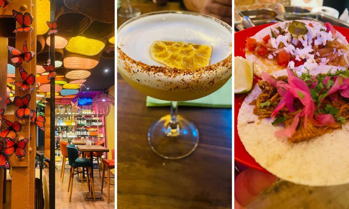 XAMACH: Tequilas vs Mezcales