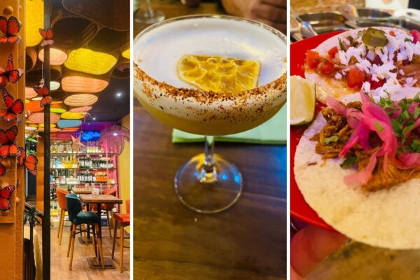 XAMACH: Tequilas vs Mezcales